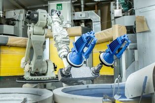 專訪法國(guó)賽峰公司高層 貴陽(yáng)工廠硅鐵粒產(chǎn)品質(zhì)量卓越，引領(lǐng)行業(yè)標(biāo)準(zhǔn)